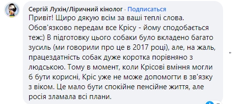 Не только Патрон: в ГСЧС рассказали про поисково-спасательную таксу-ветерана